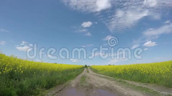 农田景观时间间隔4K视频的预览图