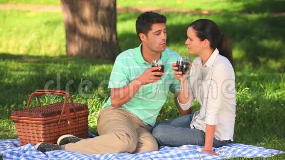 一对夫妇在野餐时喝红酒视频的预览图