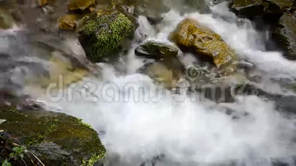 山涧流水流淌视频的预览图