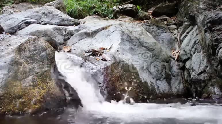 野生丛林中的小瀑布菲律宾视频的预览图
