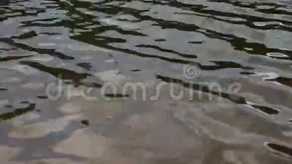 波浪在池塘水面上视频的预览图
