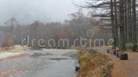 日本卡米科奇国家公园秋季视频的预览图