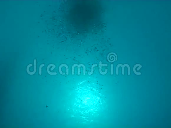 水下潜水视频海利夫海洋视频的预览图