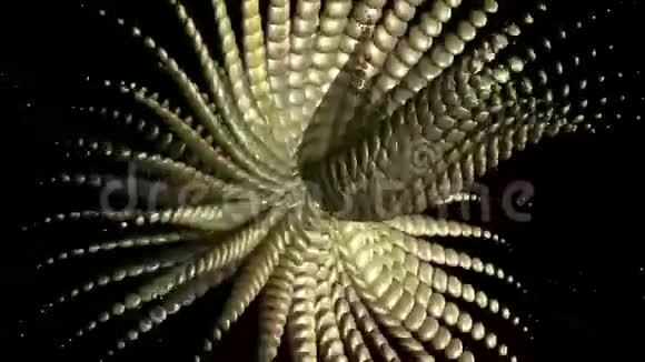 异形结构动画视频的预览图