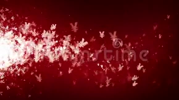 日元符号白色在红色漂移视频的预览图