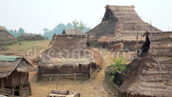 老挝PongsaliAkha部落村土著部落文化视频的预览图