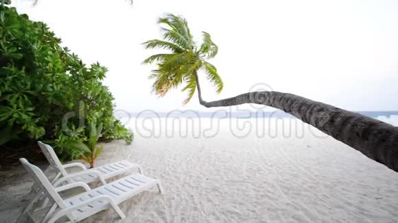 热带白色沙滩棕榈树视频的预览图