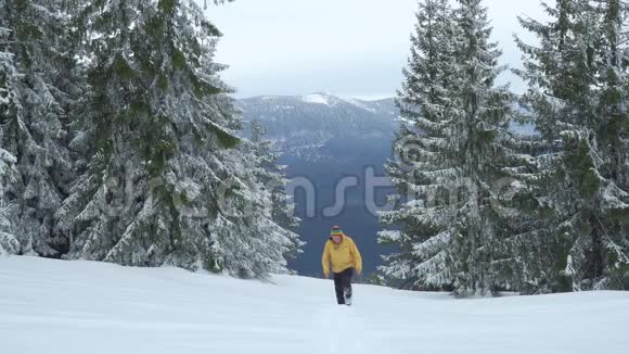 一个人走在冬天的森林里视频的预览图