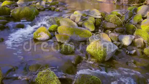 水流过石头林间小溪流视频的预览图