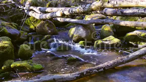 春初的时候水流在一条小溪里视频的预览图