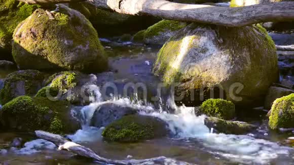 大自然的森林在春天的时候流过石头的流水视频的预览图