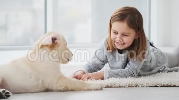 女孩和小狗玩视频的预览图