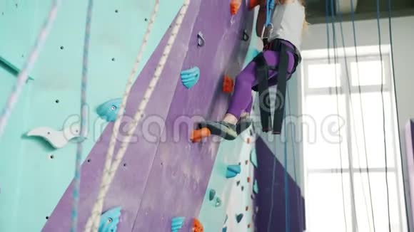 小女孩在体育中心爬上人造墙集中精力进行极限活动视频的预览图