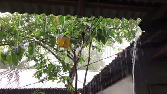 锡棚里的雨水视频的预览图