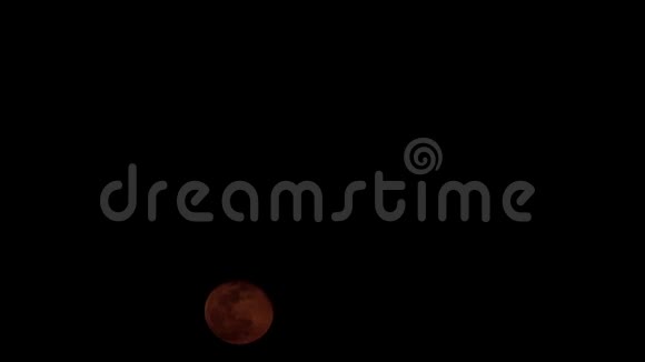 月亮从天空升起视频的预览图