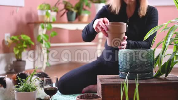 女人在家里重新播种植物视频的预览图
