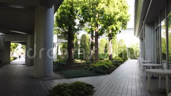 东京大景日本东京视频的预览图