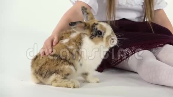 可爱的孩子与蓬松的三色兔子在白色背景快乐的童年概念慢动作关门视频的预览图