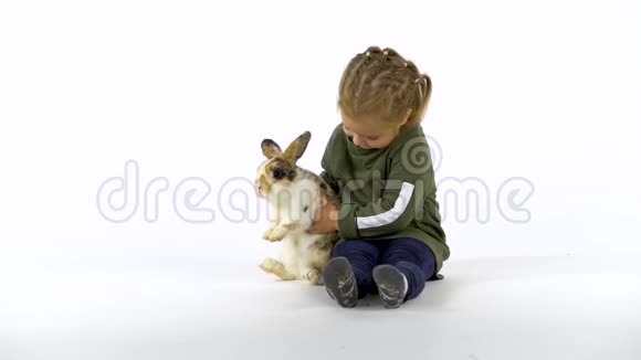 扎着辫子的小女孩在白色背景下抚摸着毛茸茸的三色兔子慢动作视频的预览图