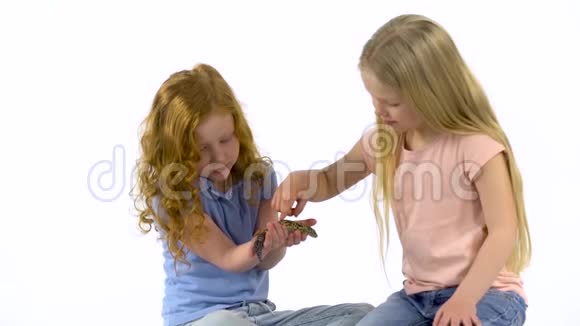 两个小女孩在白色的背景下互相递到豹子手中慢动作视频的预览图