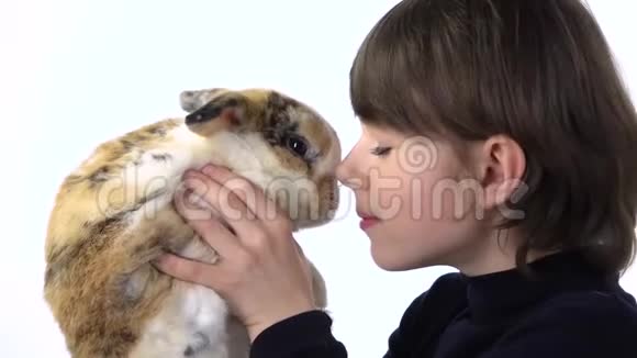 快乐男孩在白色背景下抱着和检查三只彩色兔子慢动作关门视频的预览图