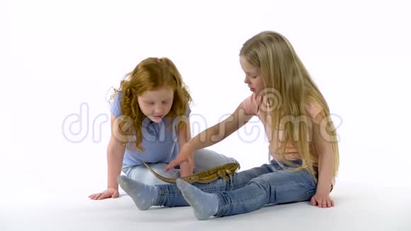 两个小女孩在白色的背景下抚摸着大胡子慢动作关门视频的预览图