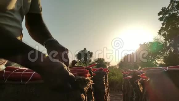 一位农民在夕阳下缝制胡萝卜麻袋视频视频的预览图