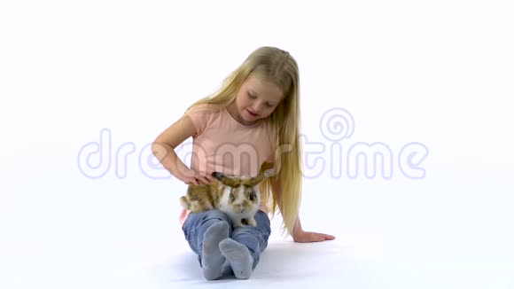 金发碧眼的小女孩在白色的背景下抚摸着毛茸茸的三色兔子慢动作视频的预览图