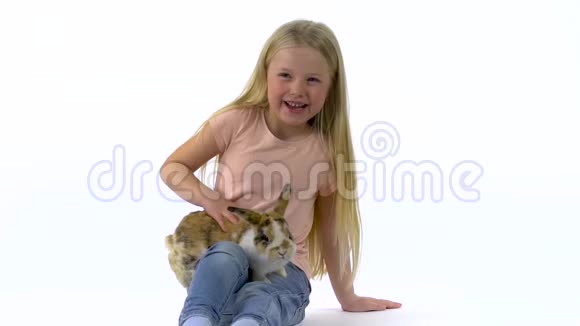 金发碧眼的小女孩在白色的背景下抚摸着毛茸茸的三色兔子慢动作视频的预览图