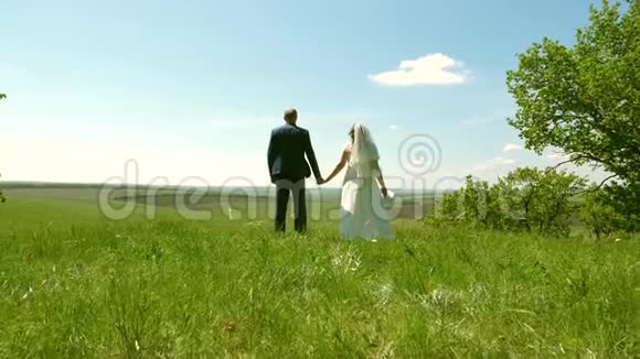 爱的男人和女人牵着手走一对相爱的夫妇牵着手欣赏绿色草地上美丽的天空视频的预览图