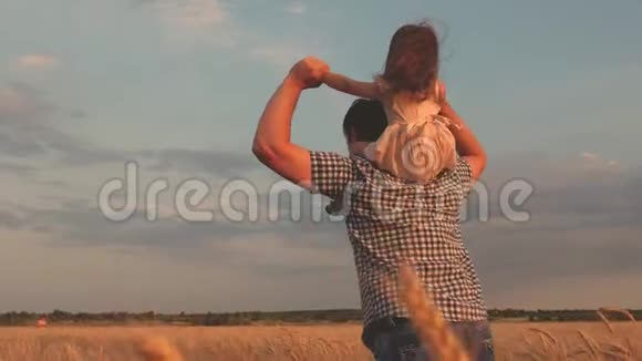 健康的孩子和父母在大自然中玩耍父亲肩上的小幸福女儿在一片蓝天的田野上孩子视频的预览图
