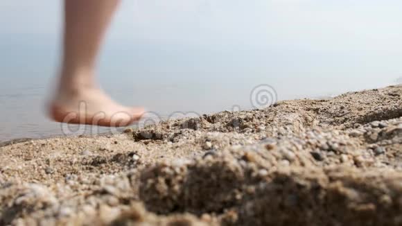 女孩沿着沙滩散步紧紧抓住女人腿视频的预览图