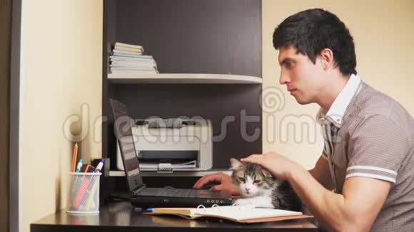 他在家里的笔记本电脑上工作远程工作在键盘上打字抚摸着猫视频的预览图