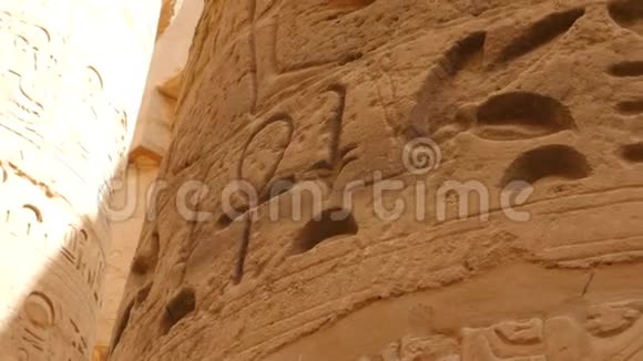 古埃及壁画视频的预览图