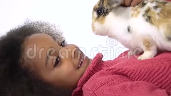 快乐的小非洲卷曲女孩抱着三只彩色兔子在白色背景下抚摸快关门慢动作视频的预览图