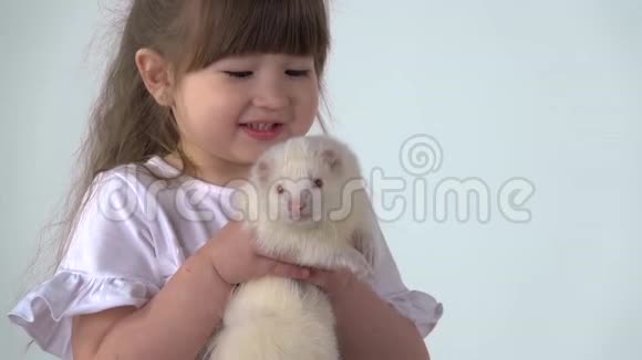 可爱的孩子抱着阿尔比诺斯雪貂红色的眼睛在白色的背景快乐的童年概念慢动作关门视频的预览图
