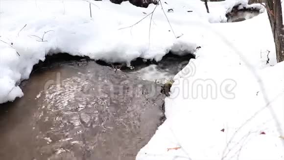 小溪在春天融雪视频的预览图
