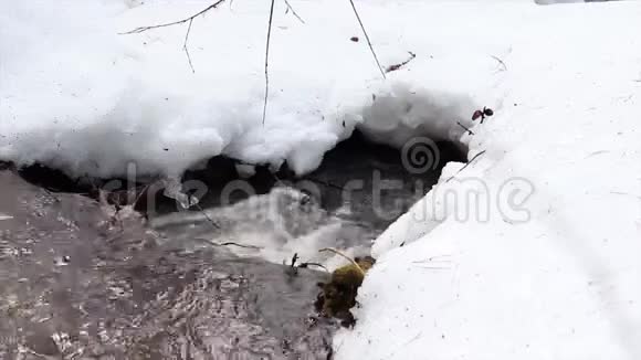 小溪在春天融雪视频的预览图