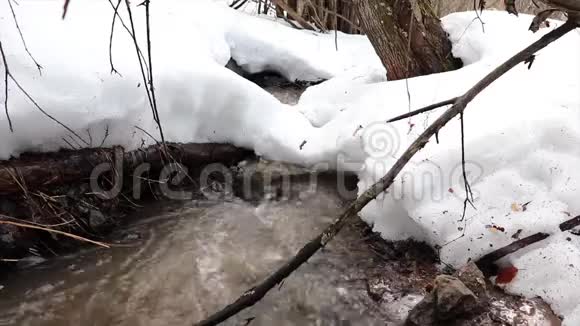 小溪在春天融雪视频的预览图