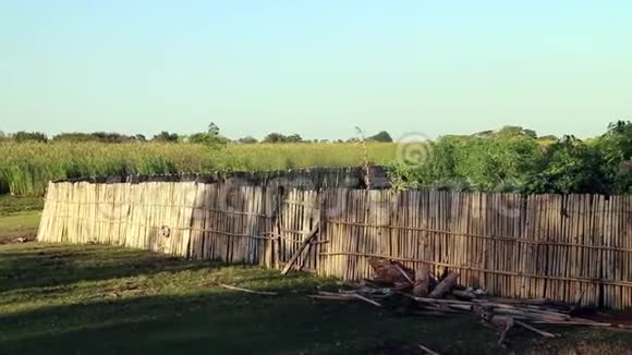 竹篱笆视频的预览图