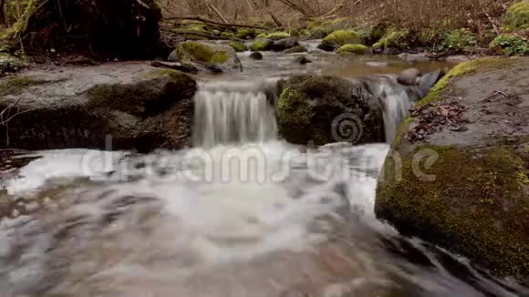 林流水在春天的时候流过石头视频的预览图
