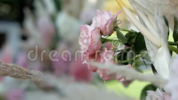 美丽的潘潘草和玫瑰拱门装饰像一束鲜花视频的预览图