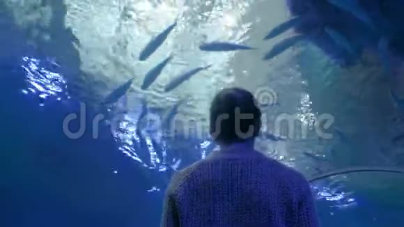 在大型公共鱼缸里看鱼涡的女人剪影视频的预览图