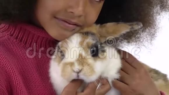 小非洲卷发女孩抱着三只白色的兔子抚摸着它快关门慢动作视频的预览图