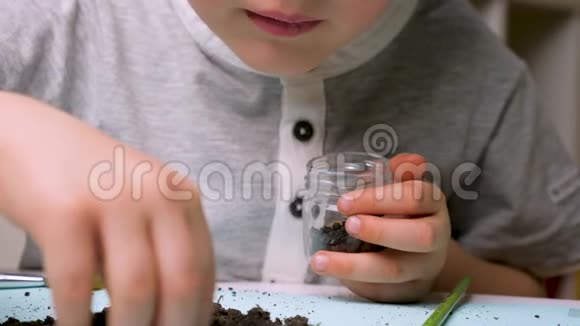 检疫家庭教育带着放大镜的男孩有趣的教育自然科学背景青年视频的预览图
