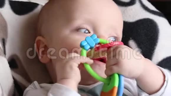 带塑料啮齿动物的婴儿坐在一张高椅子上视频的预览图