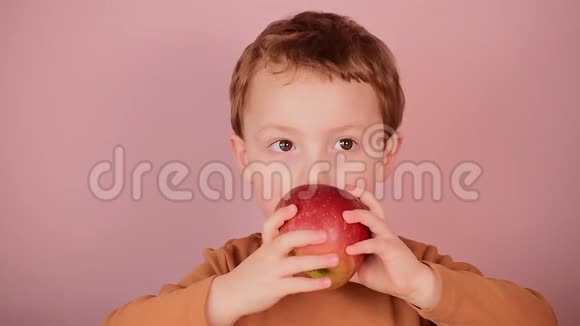 迷人开朗的三岁男孩的肖像视频的预览图