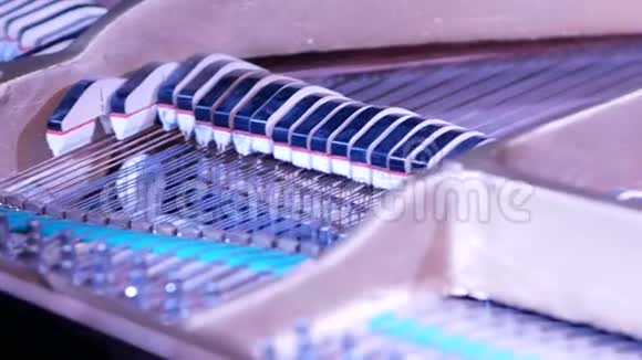 钢琴里的风琴视频的预览图