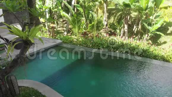 带热带花园的别墅无限游泳池鸟瞰图女人走在池边欣赏丛林风光视频的预览图