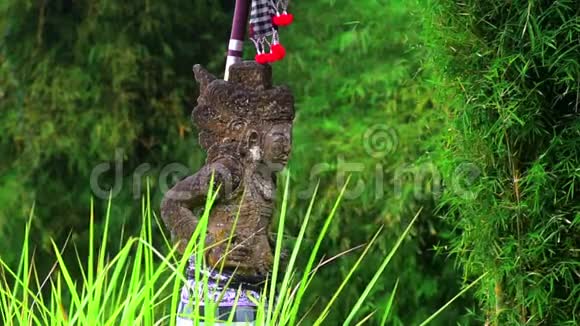 巴厘岛雕像在稻田热带岛屿巴厘岛印度尼西亚视频的预览图